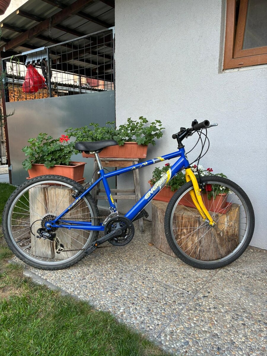 prodám dětské kolo 24"