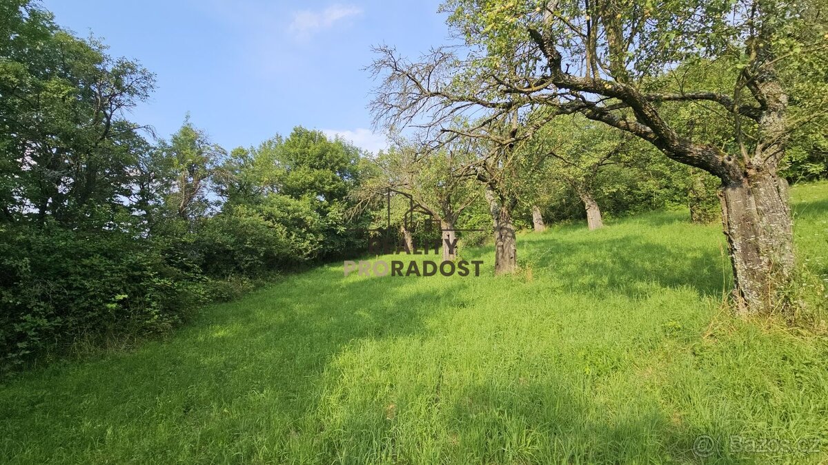 Prodej ovocného sadu 4 253 m2 v Koryčanech