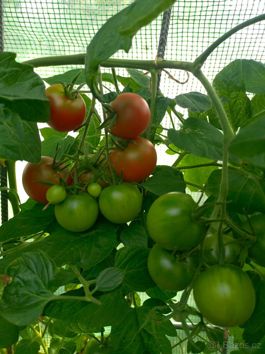 Hledám chatu k pronájmu Plzeň  Rokycany Dobřív, Strašice aj