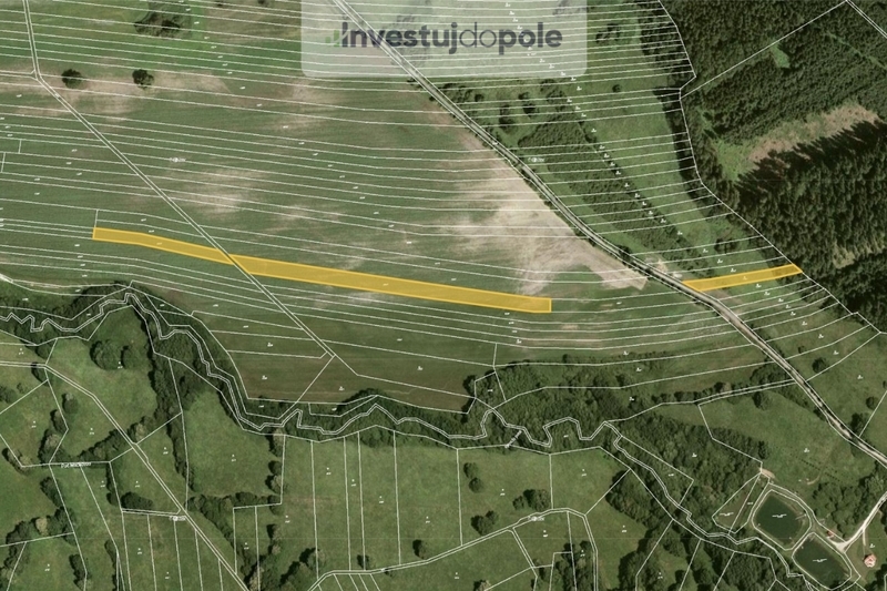 Prodej pole v k.ú. Javorník nad Veličkou
