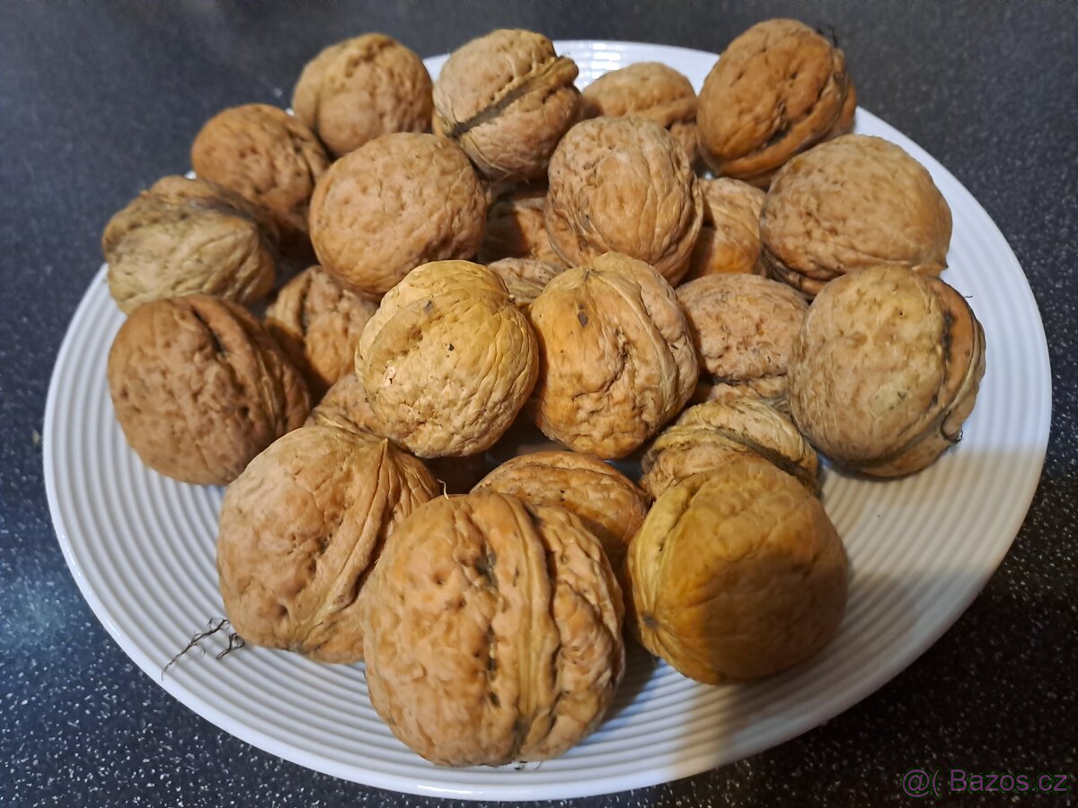 Prodám velké vlašské ořechy-suché papíráky,neloupané