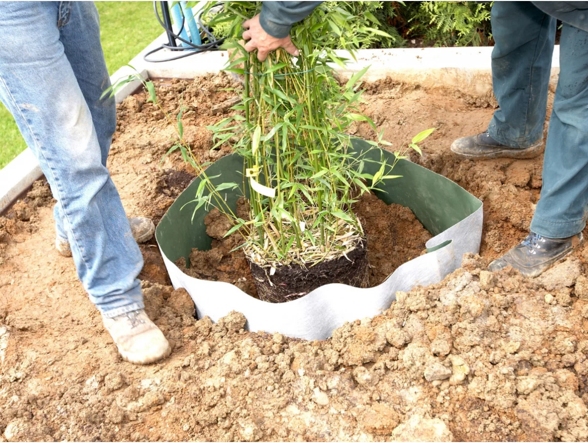 Kořenová bariéra (nová)