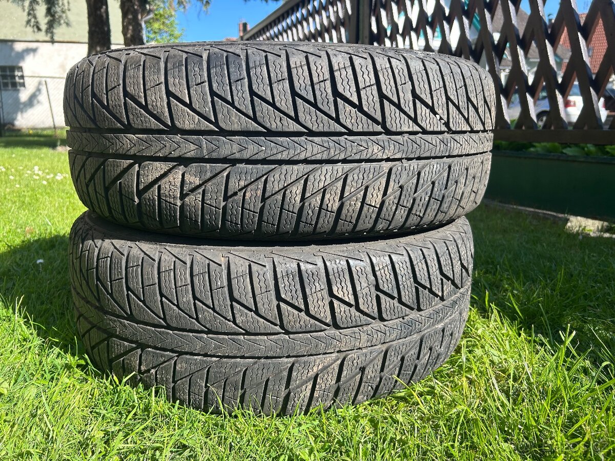 Zimní pneu Viking Snowtech 2