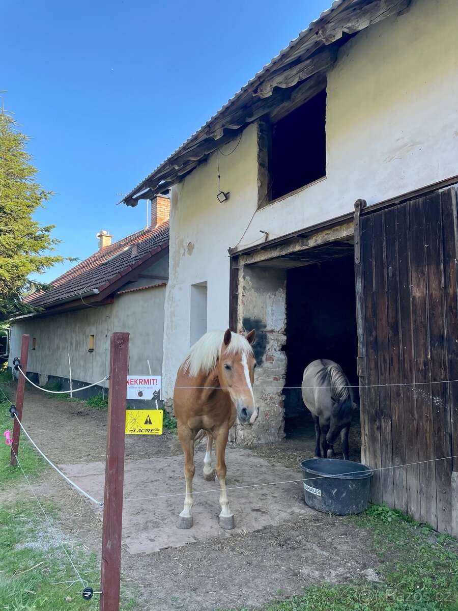 Trekové ustájení