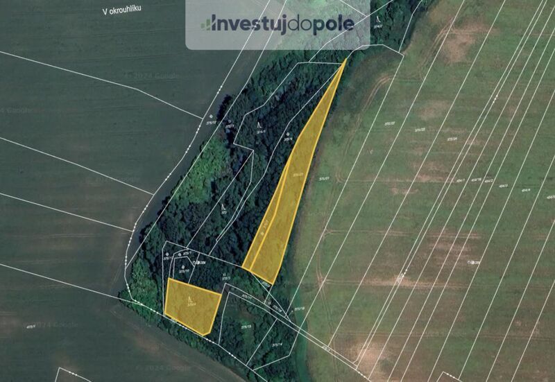 Prodej pole v k.ú. Plaňany