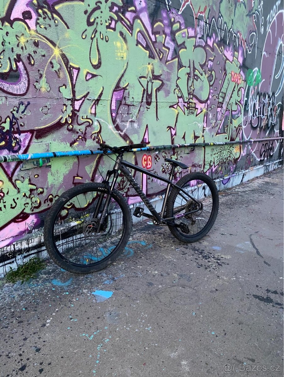 Kolo specialized rockhopper expert