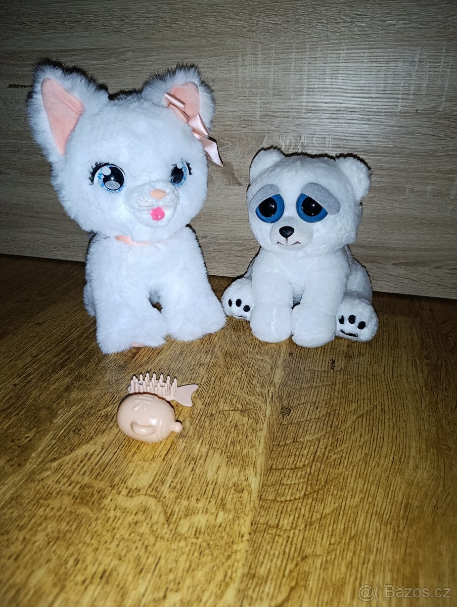 Kočka a medvěd
