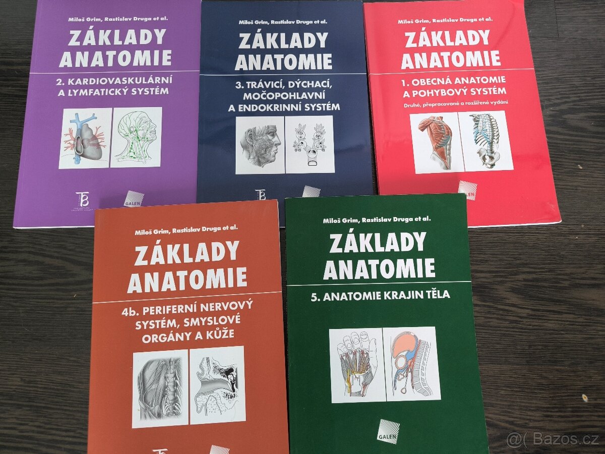Učebnice anatomie Grim