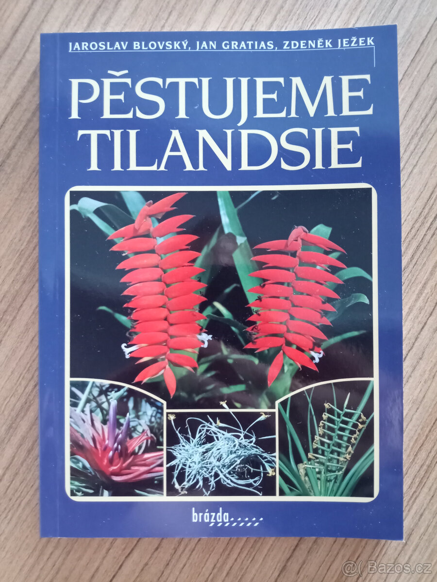 Blovský, Gratias, Ježek - Pěstujeme tilandsie