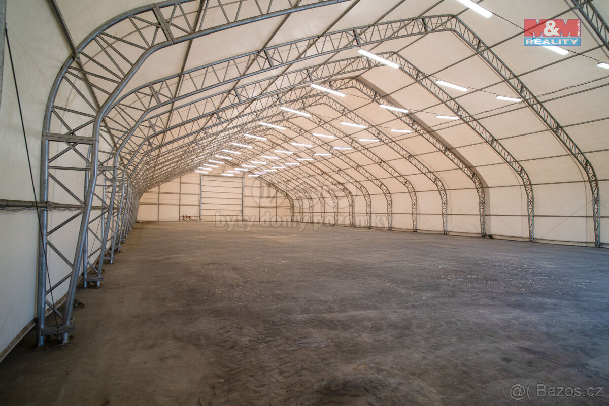 Pronájem skladu, 1000 m², Tachov