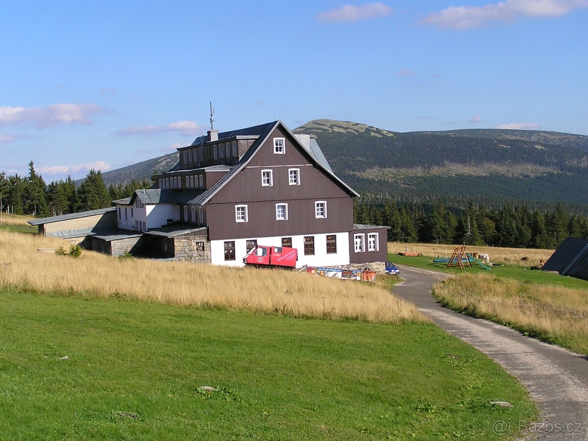 Číšník, servírka