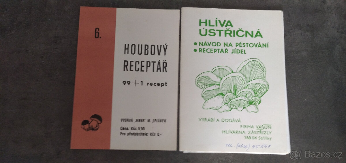 hlíva ústřičná, houbový receptář