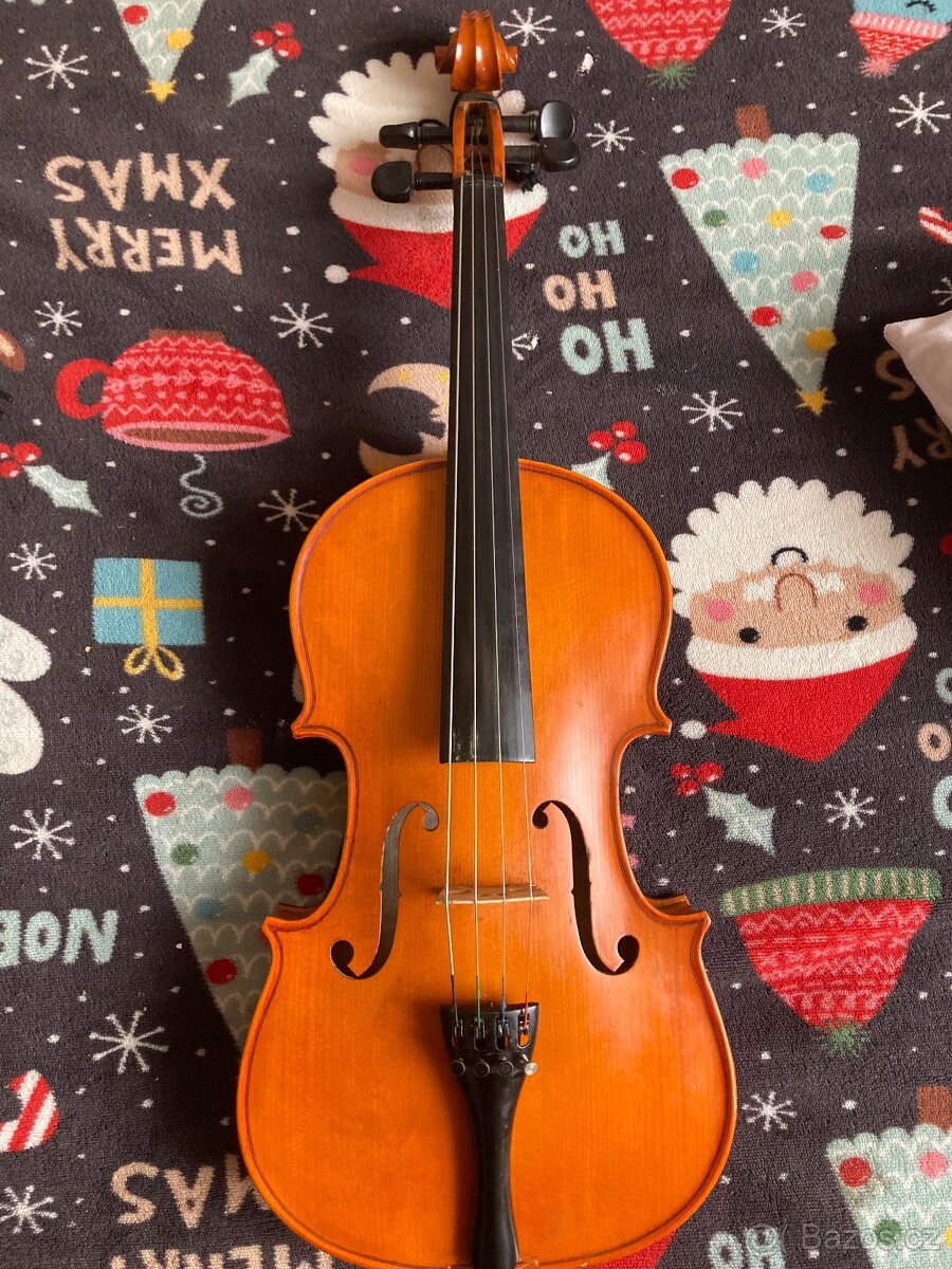 Viola 38,4
