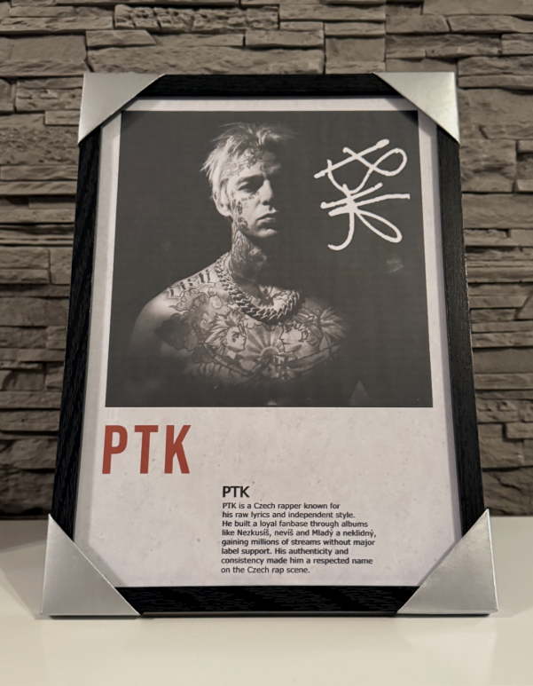 PTK - PrintArt s rámem💎(custommade)