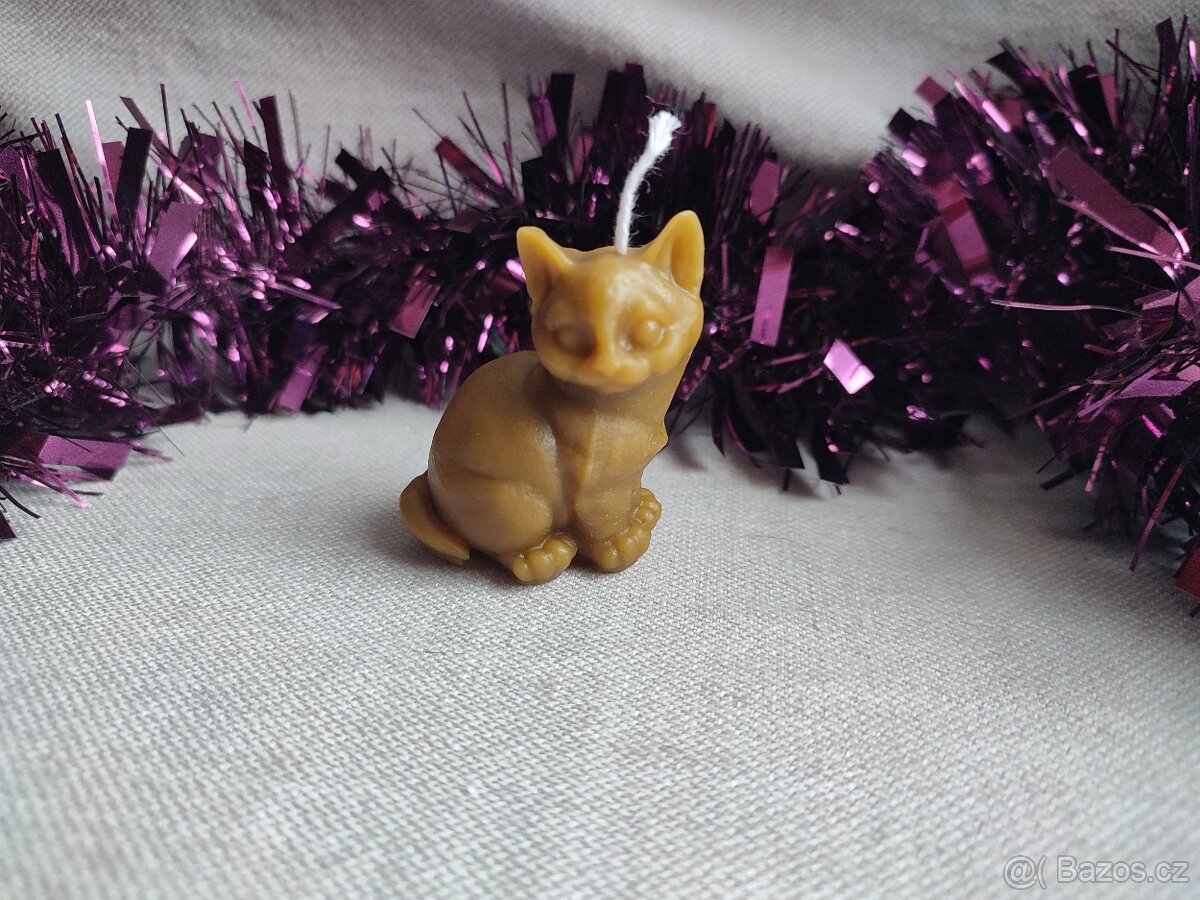 svíce kočka