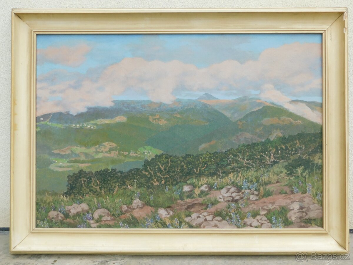 Prodám 2 olejomalby z let 1955 - 65