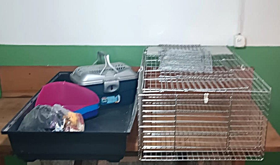 KLEC PRO MORČE/KRÁLÍKA