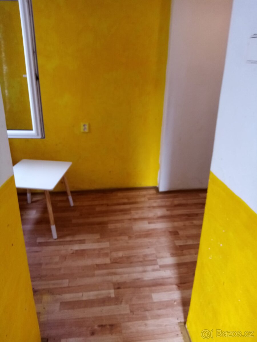 Pronajmu 2x byt 1+1 na Pískách