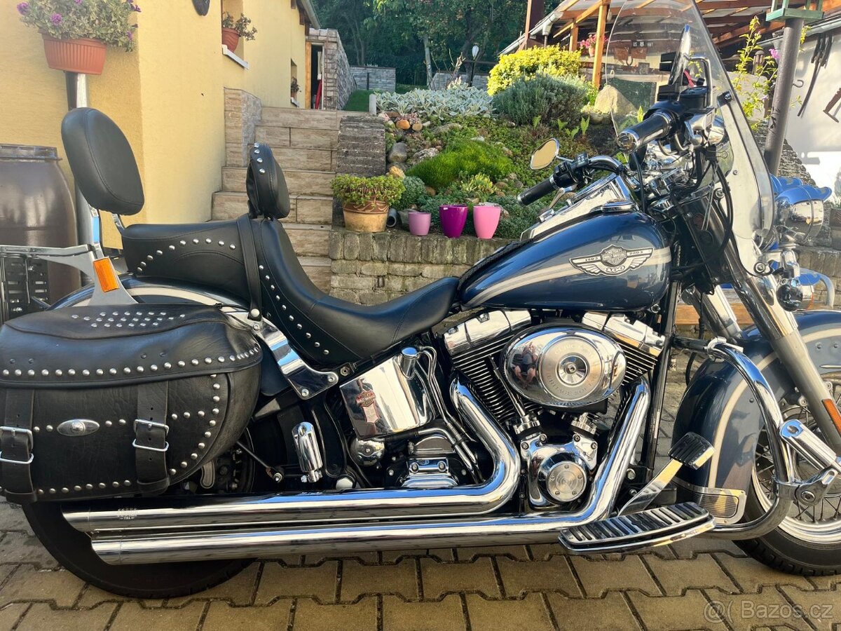 Harley Davidson, FLSTC, Heritage Softail100th