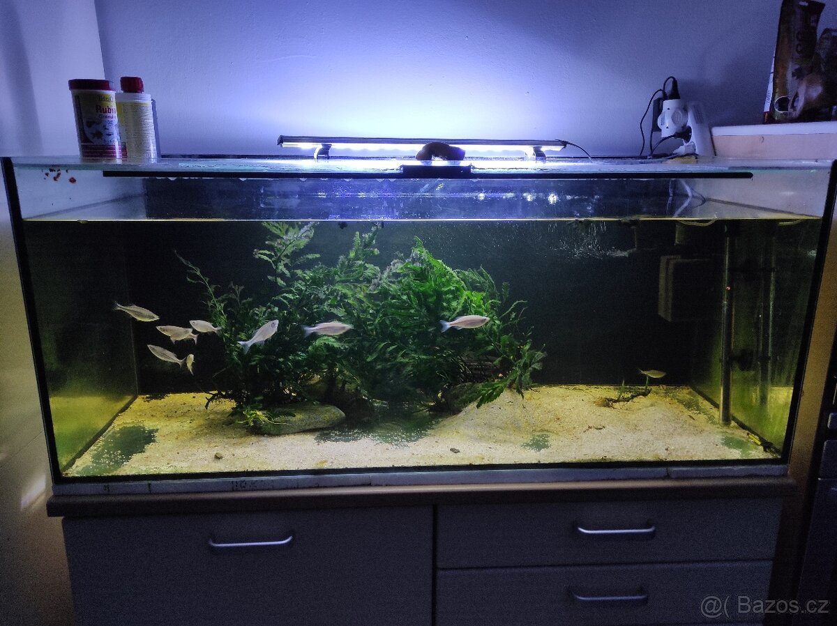 Akvárium 300l