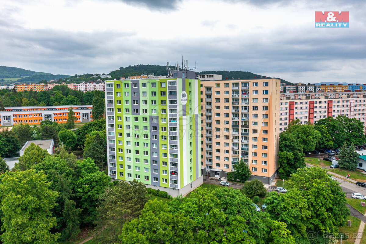 Prodej bytu 1+1 v Ústí nad Labem, ul. Muchova