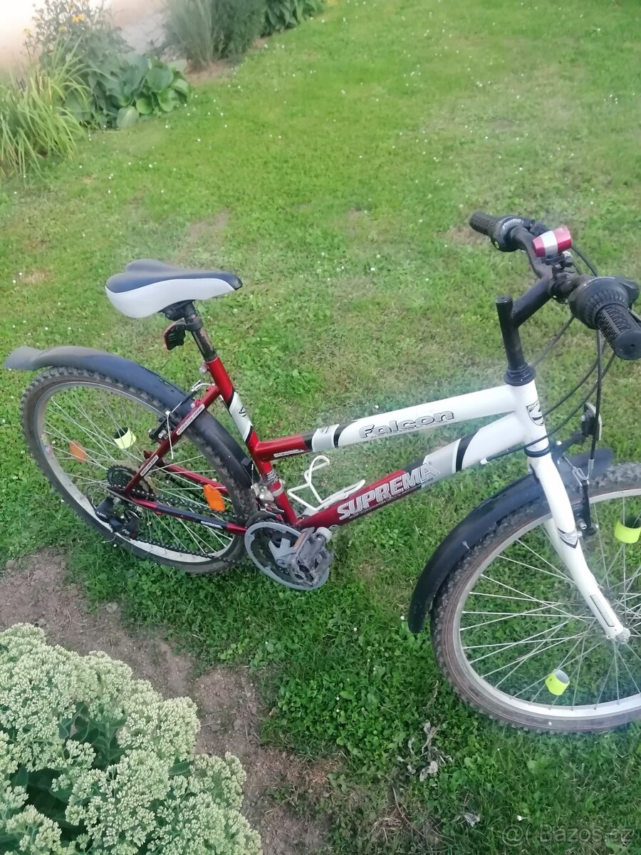 Dívčí kolo