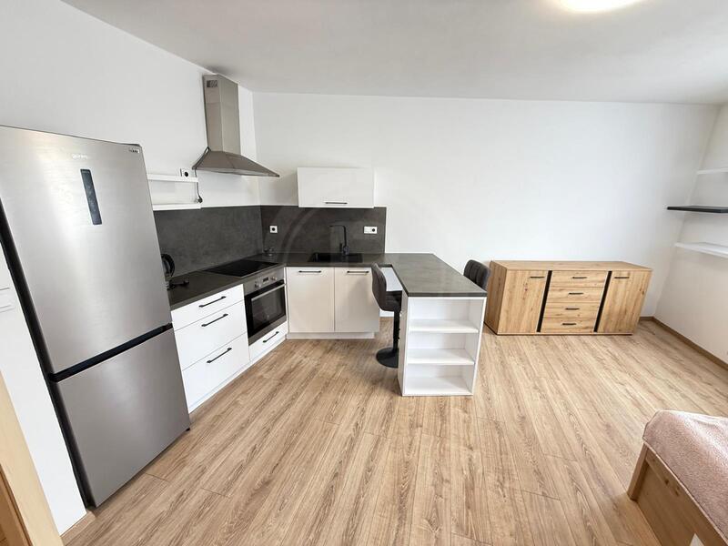 PRONÁJEM BYTU 1+KK, NÁMĚSTÍ ŠIMONA LOMNICKÉHO, ŠEVĚTÍN