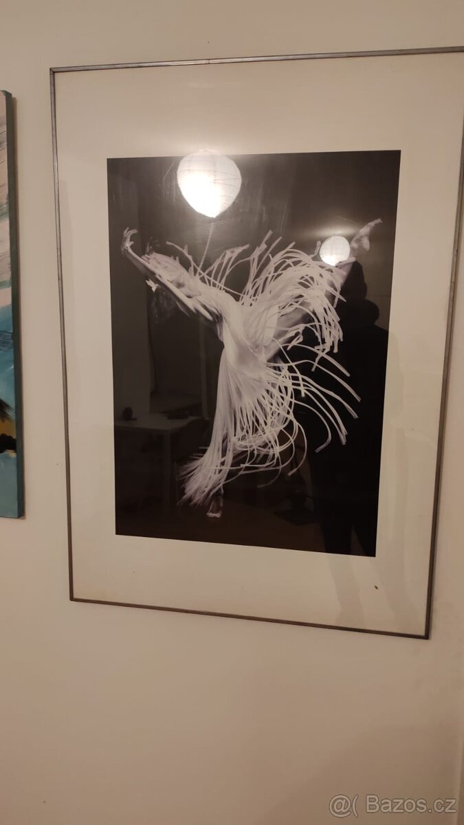 Prodám obraz, reprodukce umělecké fotografie