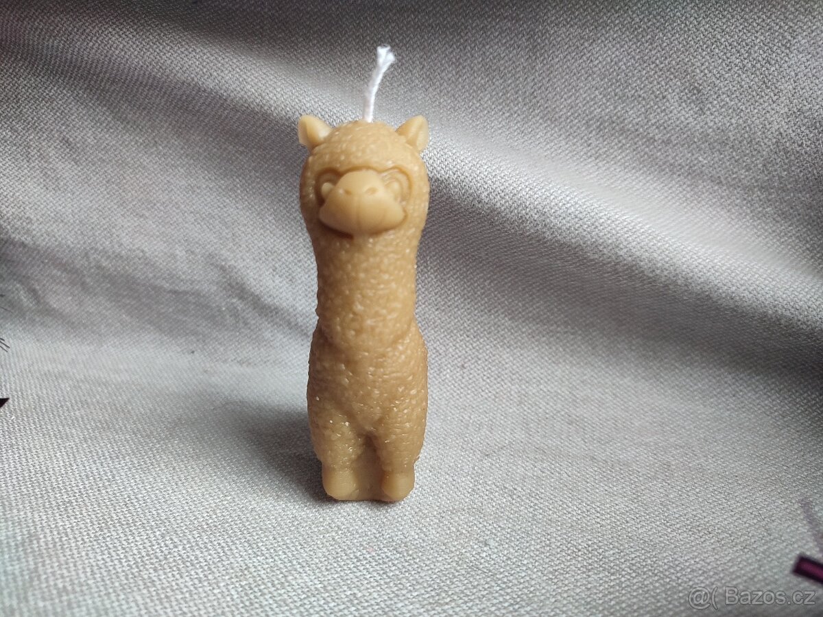 svíčka lama