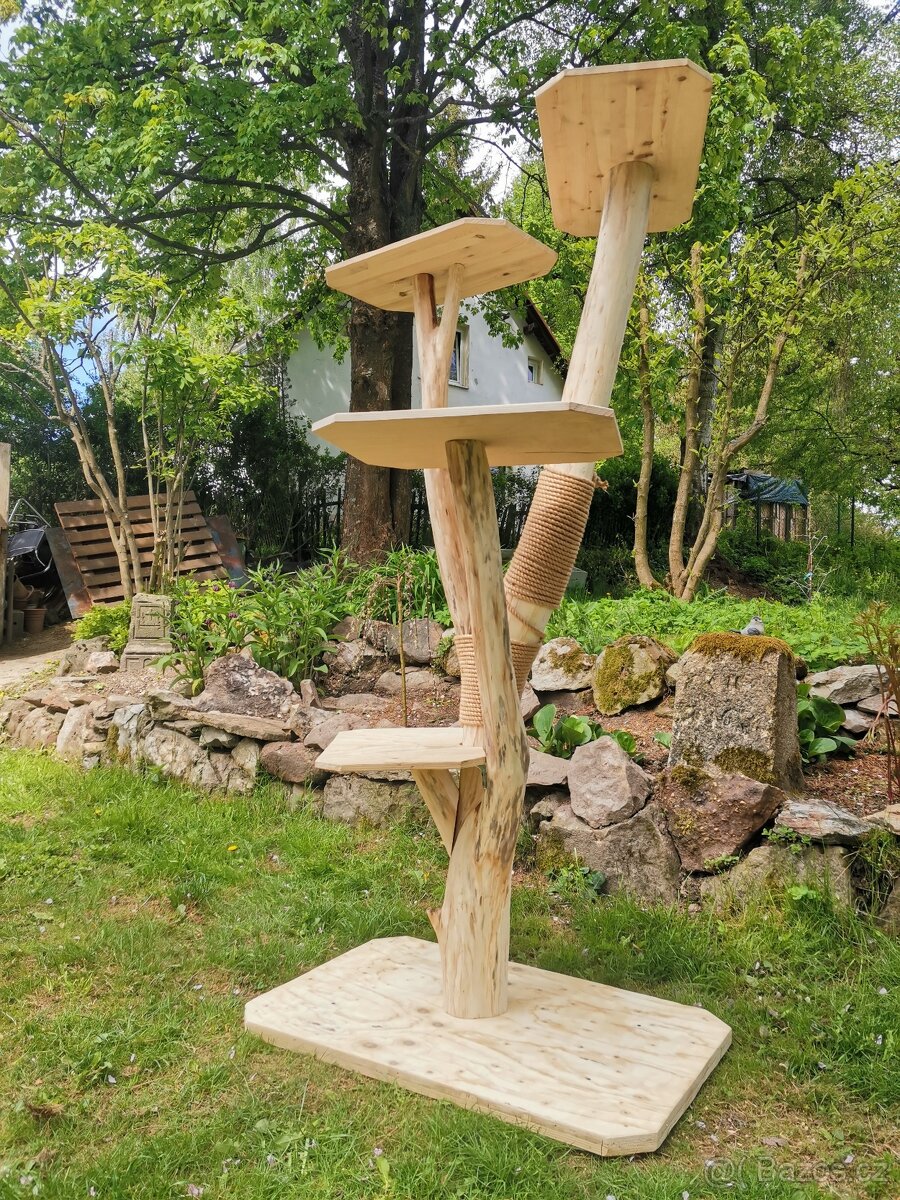Kočičí strom