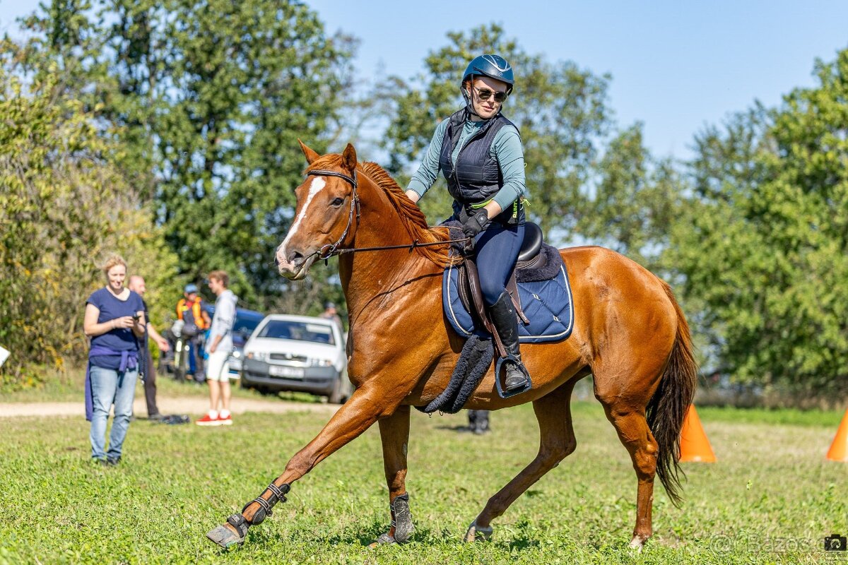 Kobylka A1/1 do bezplatného pronájmu/s odkupem