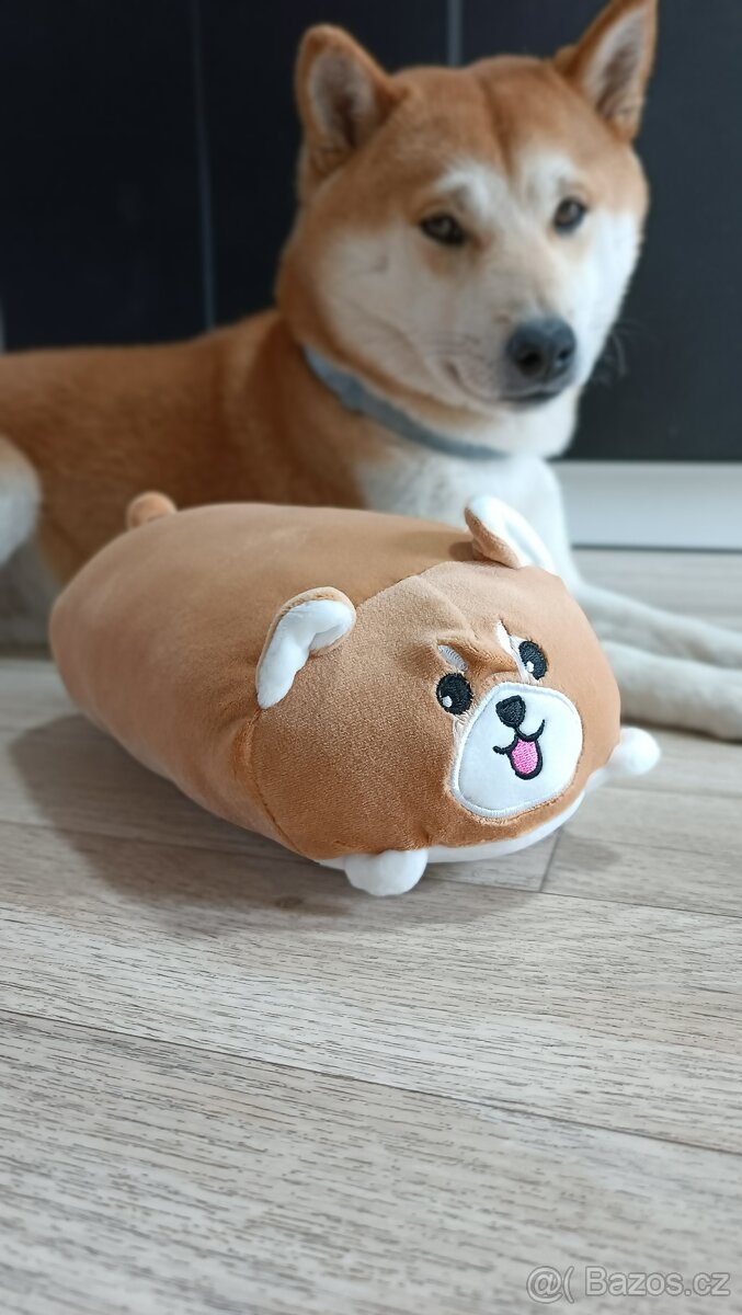 Plyšák pes Shiba Inu