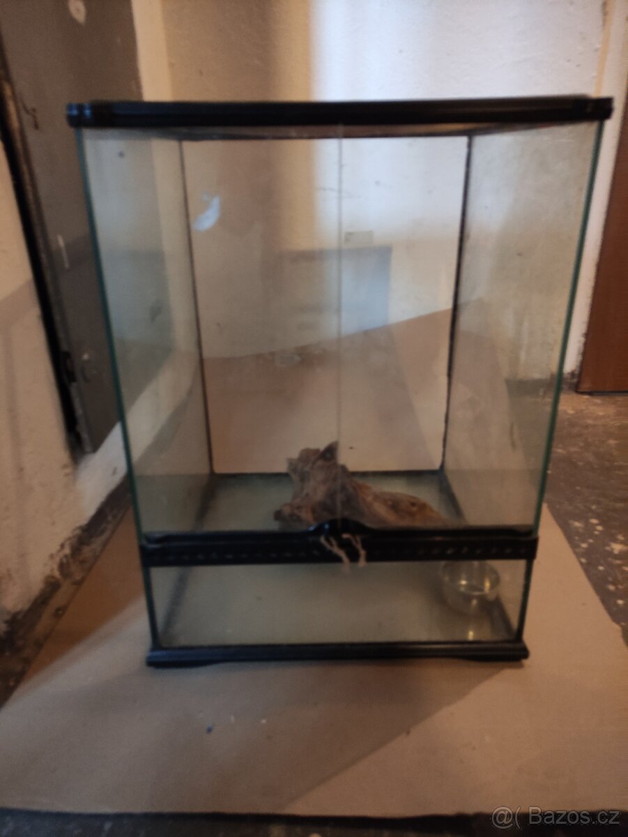 Terárium