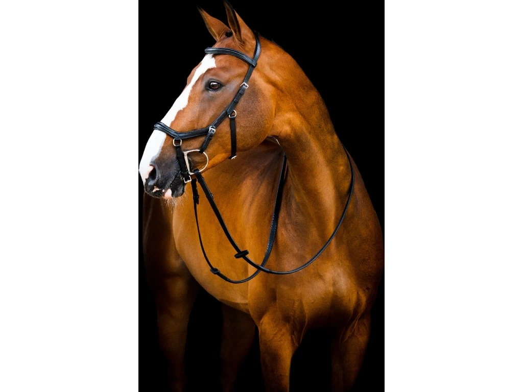 Uzdečka Rambo Micklem Deluxe Competition 2, s otěžemi, černá