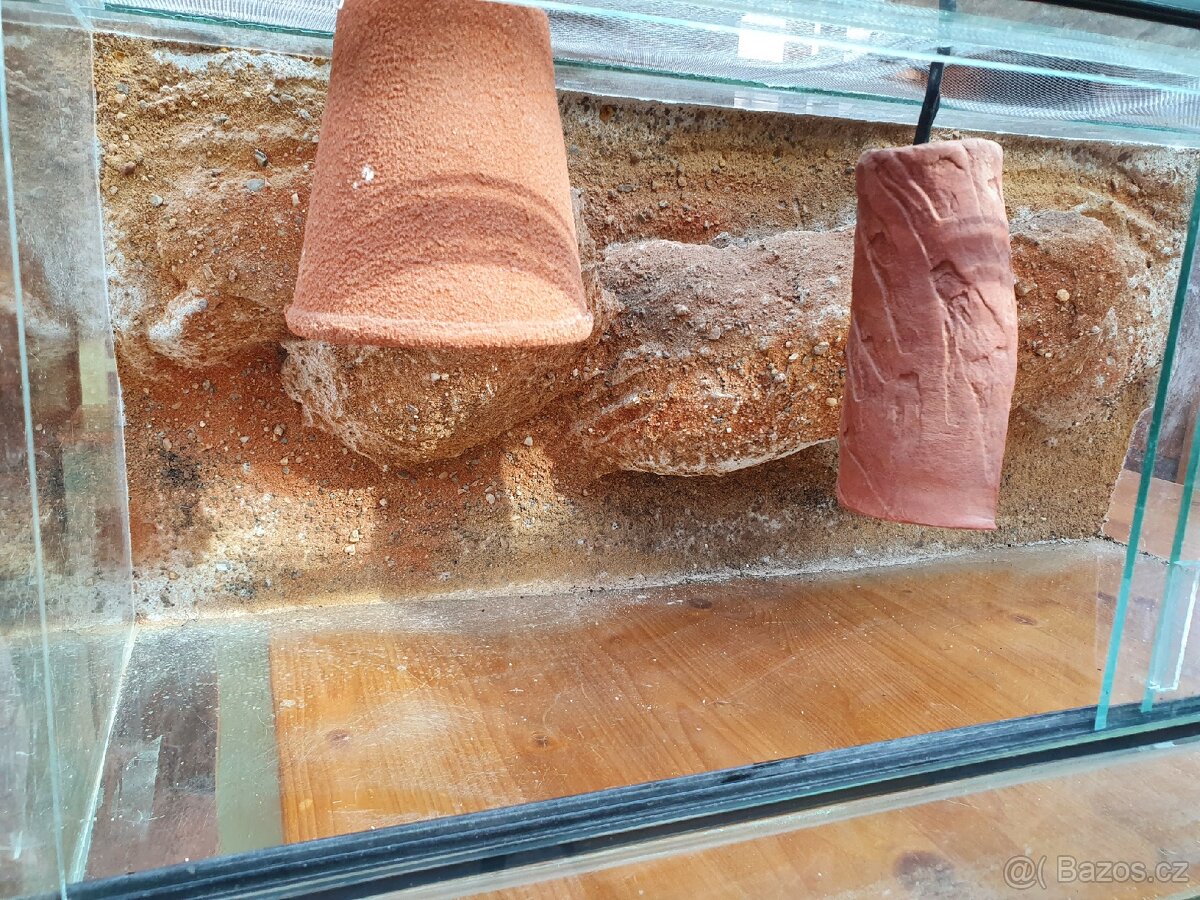 Terarium 80x40x34 želva, agama, gekon