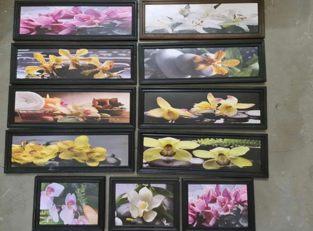 11ks obrázků ORCHIDEJI v dřevěném rámu
