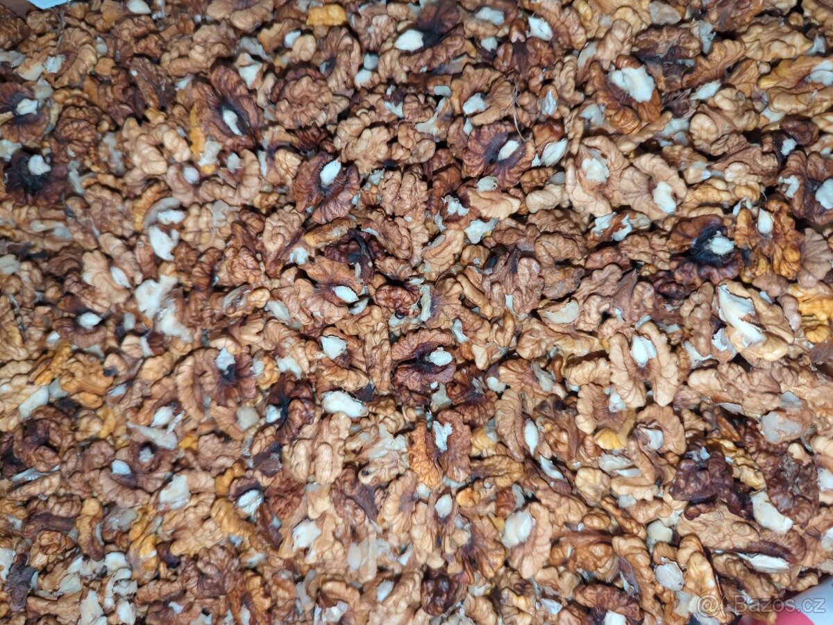 Prodám loupané vlašské ořechy