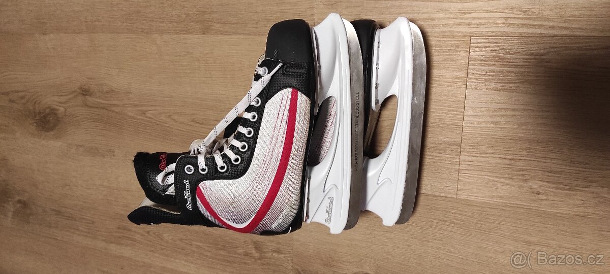 Lední pánské brusle