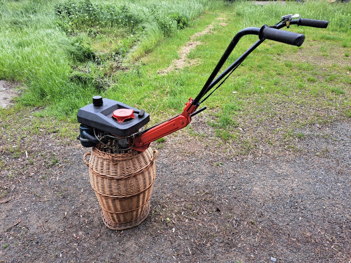 Prodám dvoutaktní motor Tera vari