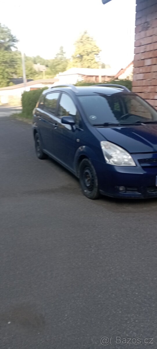 Corolla verso