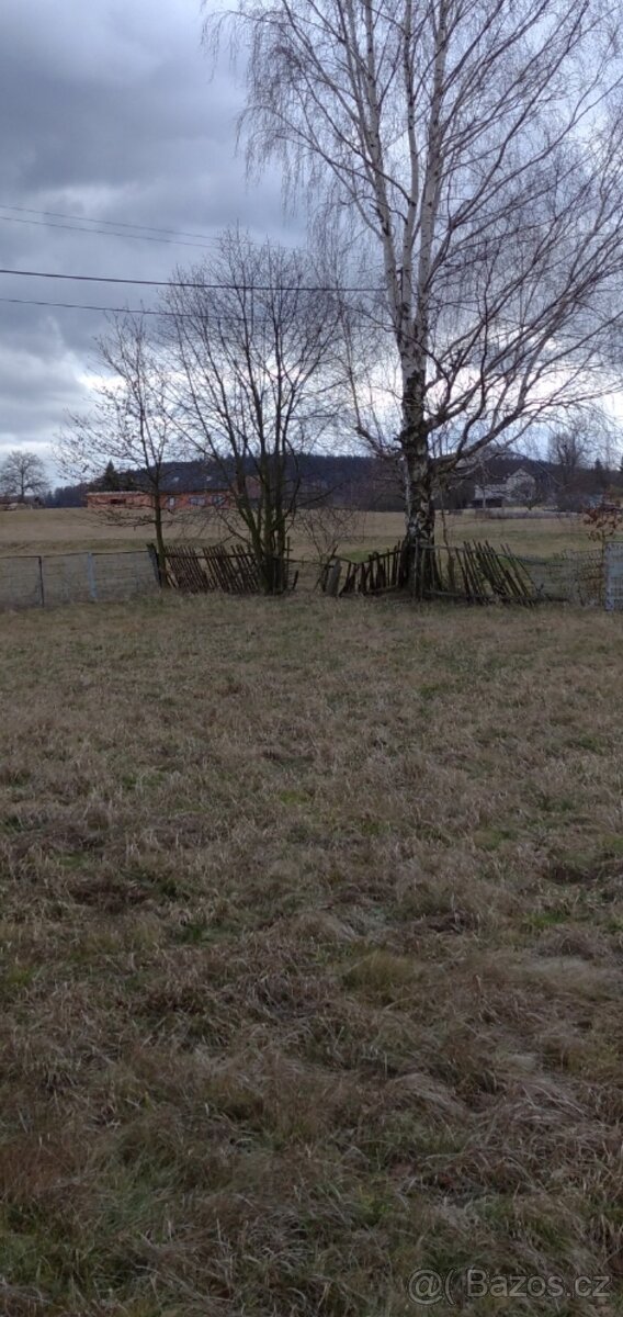 Tráva, seno, pastva, pole, zahrada.Umístění ovcí nebo koz