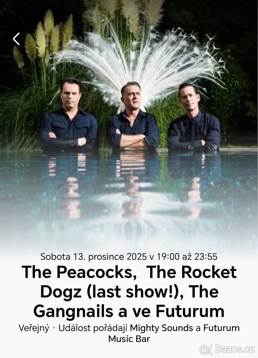 The Peacocks + The Gangnails + The Rocket Dogz