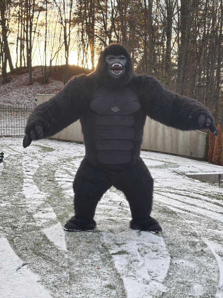 Kostým,oblek gorila