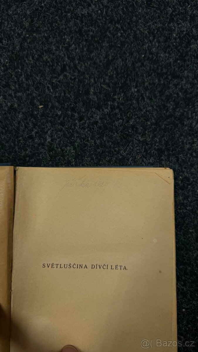 B. Clementová – Světluščina dívčí léta