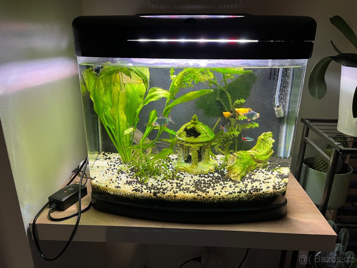 Akvarium Invital EasyTank LED 50 litrů
