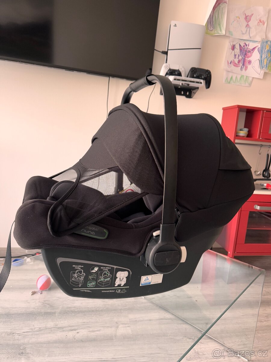 Bugaboo turtle