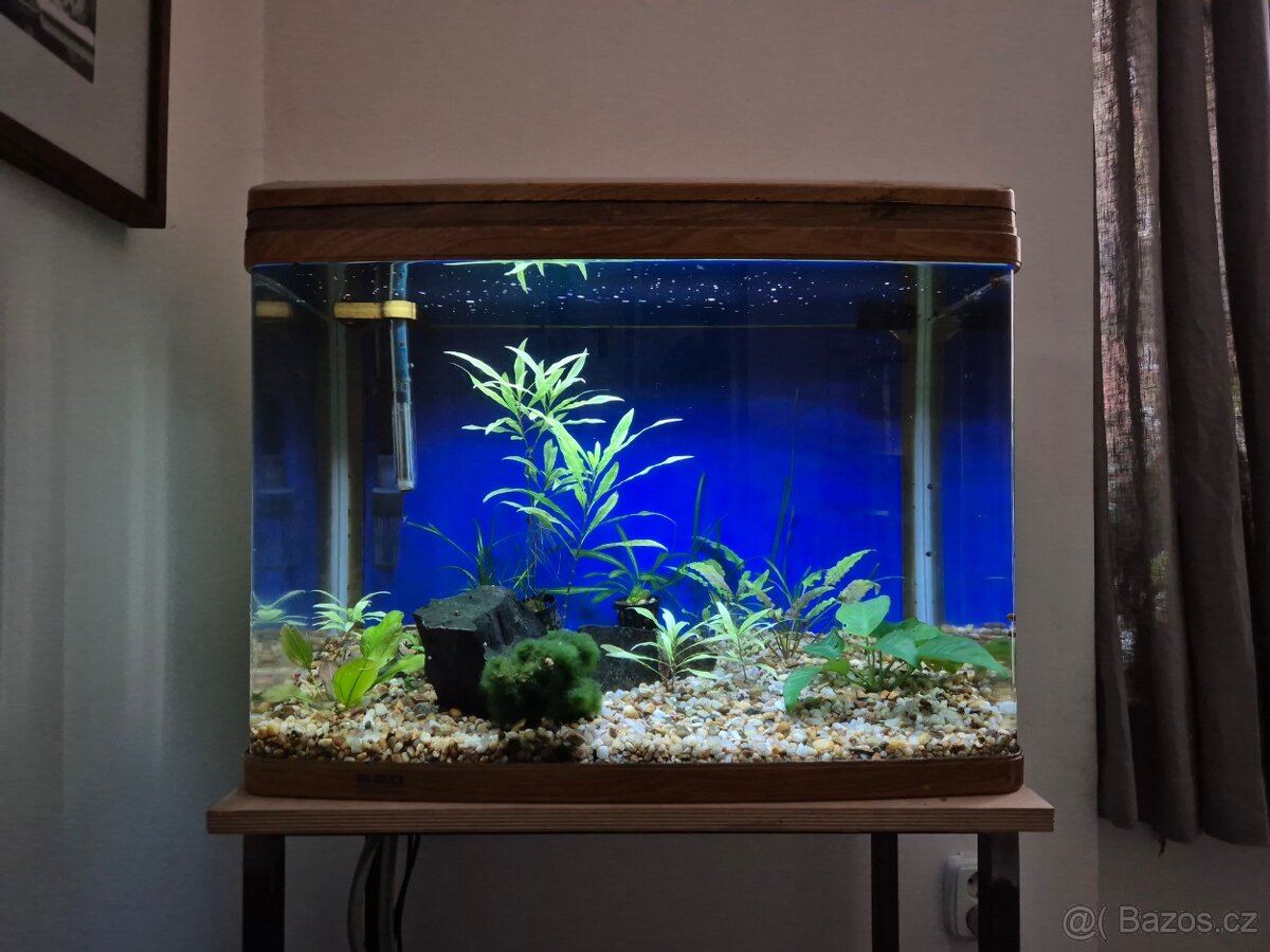 Akvárium-92l-vybavené - včetně ryb a krevetek