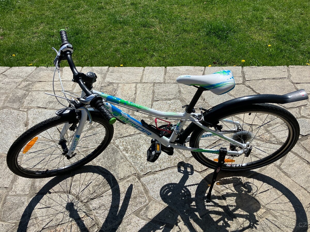 Dětské / juniorské kolo Superior Paint 24