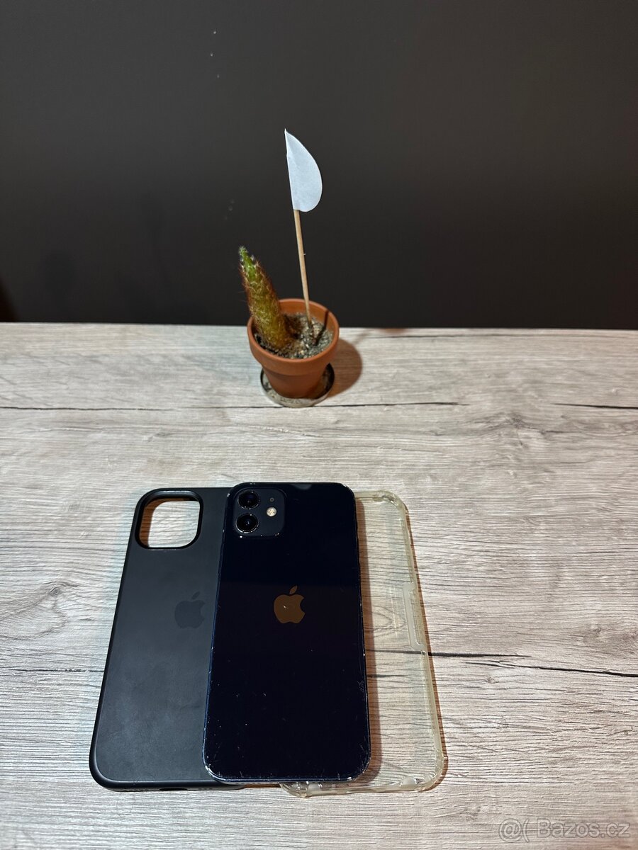 iPhone 12 64GB 100%