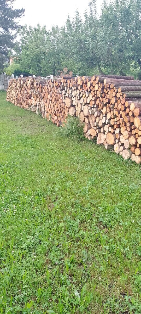 Palivové dřevo.